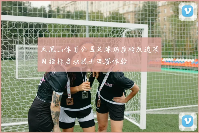 凤凰山体育公园足球场座椅改造项目招标启动提升观赛体验